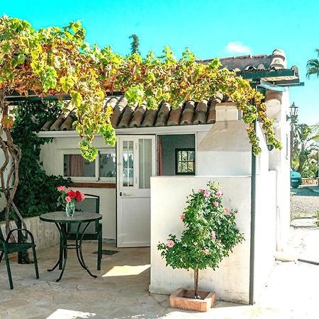 Tiny House 12M2 In Holiday Park With 55 M2 Pool Толокс Екстер'єр фото