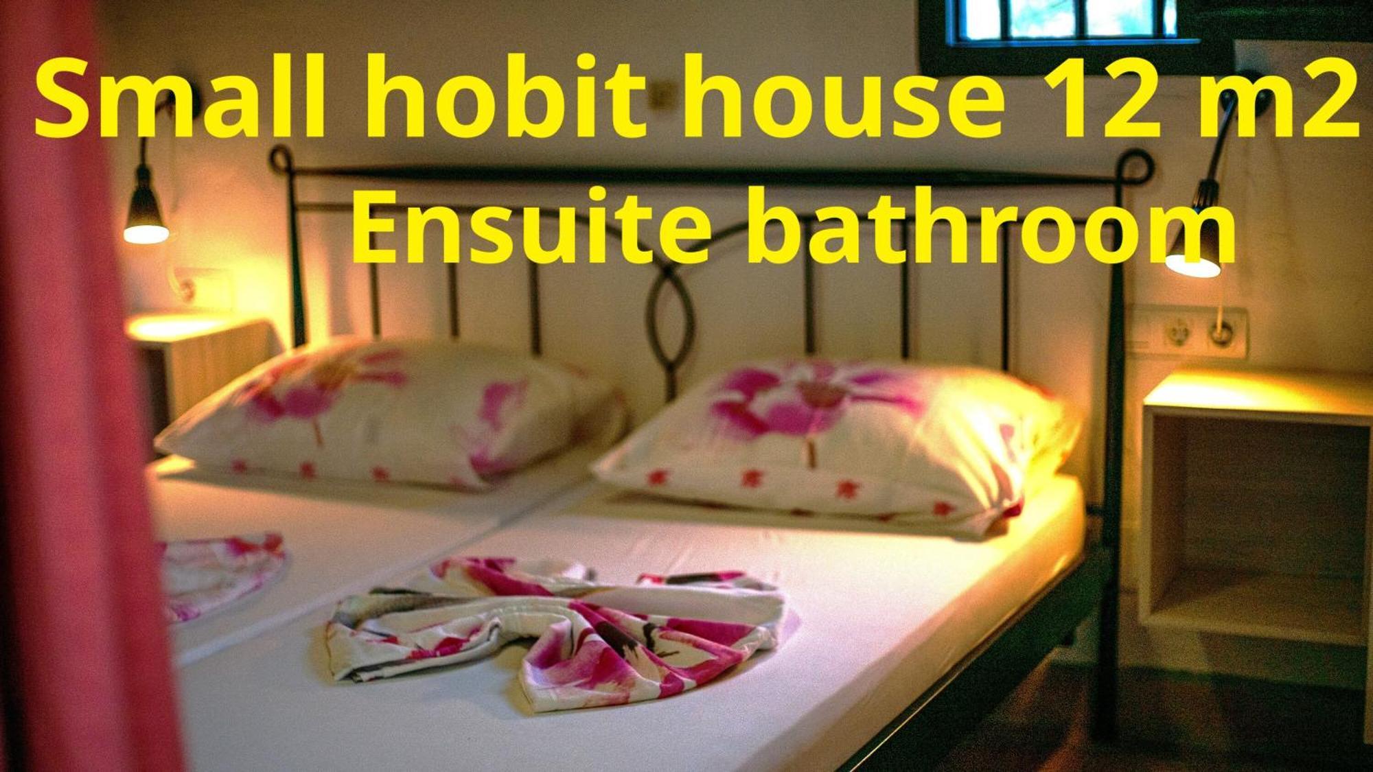 Tiny House 12M2 In Holiday Park With 55 M2 Pool Толокс Екстер'єр фото